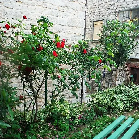 Bogadi Apartment