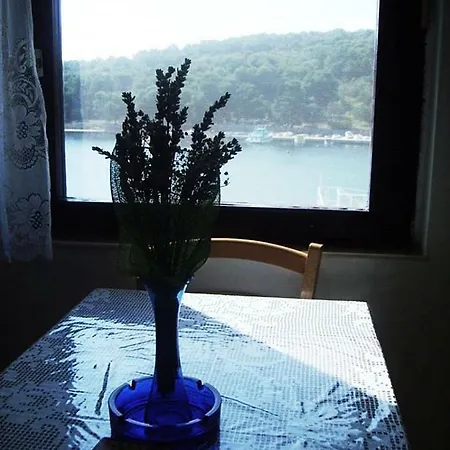 Apartment Bogadi Prvic Luka